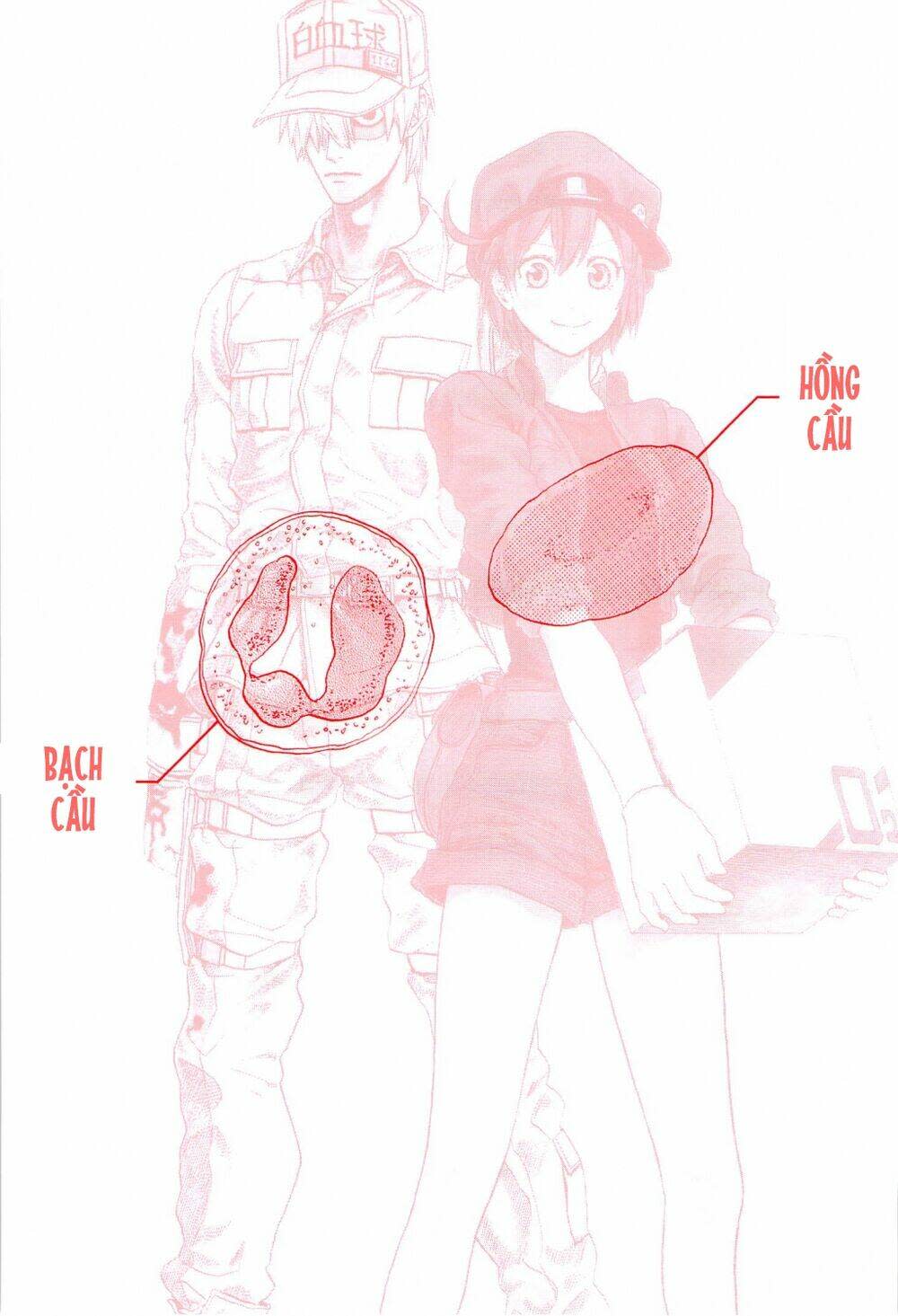 Hataraku Saibou ! Chapter 1: Khuẩn cầu phổi - Next Chapter 2: Dị ứng phấn hoa cây tuyết tùng