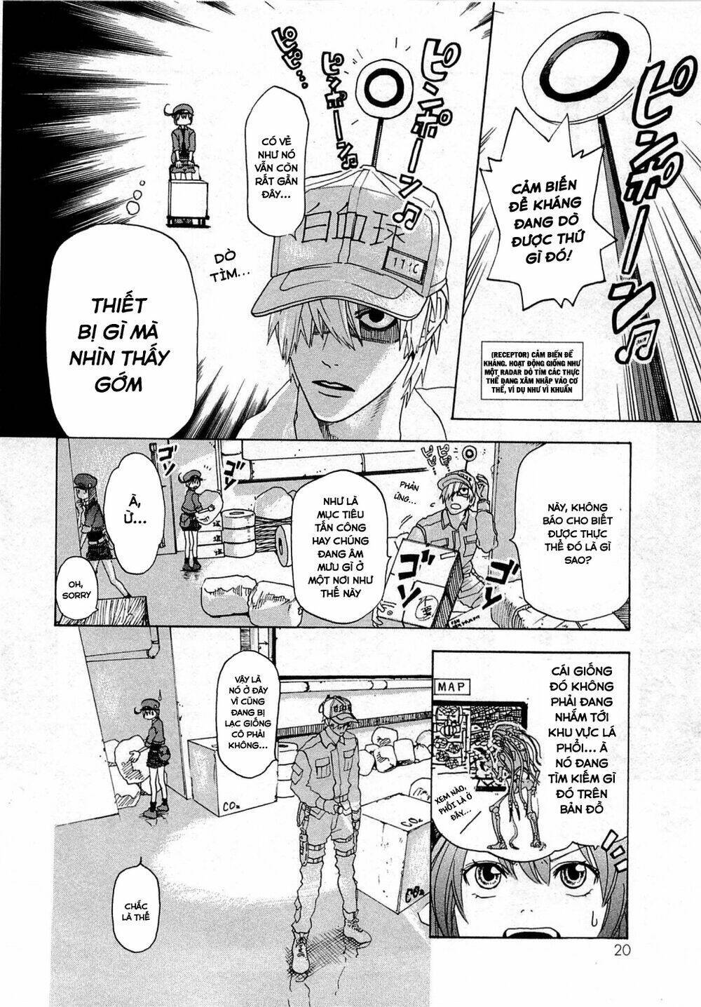 Hataraku Saibou ! Chapter 1: Khuẩn cầu phổi - Next Chapter 2: Dị ứng phấn hoa cây tuyết tùng