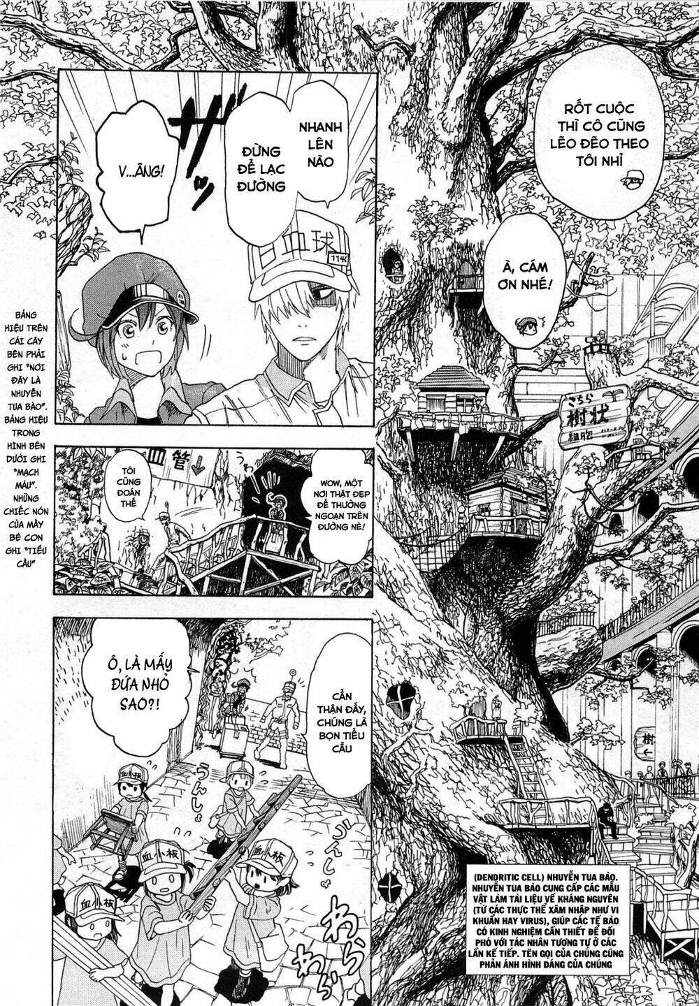 Hataraku Saibou ! Chapter 1: Khuẩn cầu phổi - Next Chapter 2: Dị ứng phấn hoa cây tuyết tùng