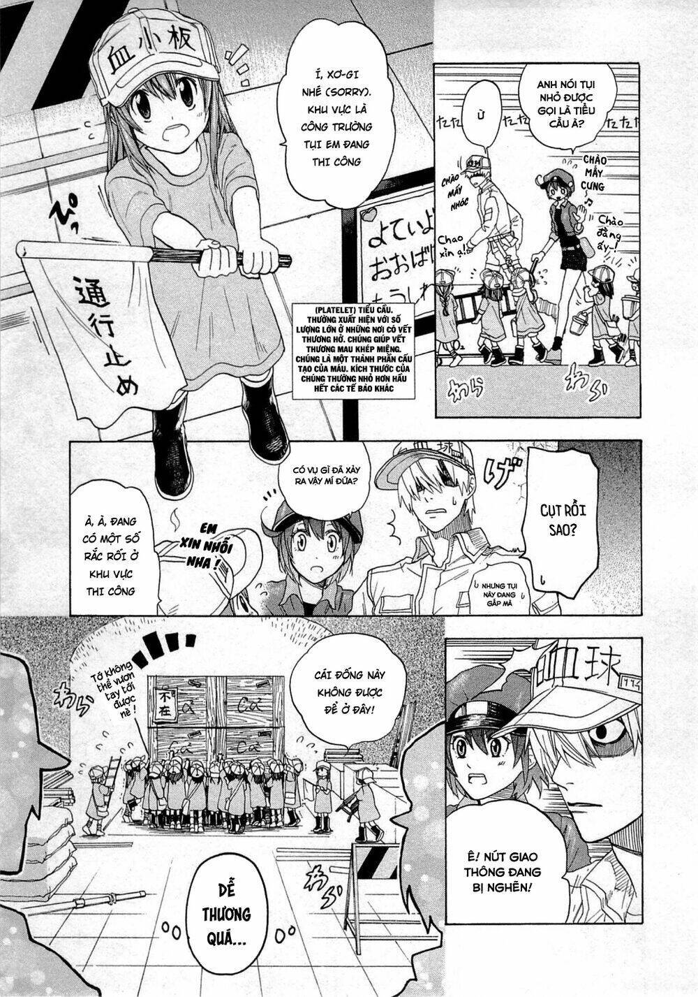 Hataraku Saibou ! Chapter 1: Khuẩn cầu phổi - Next Chapter 2: Dị ứng phấn hoa cây tuyết tùng