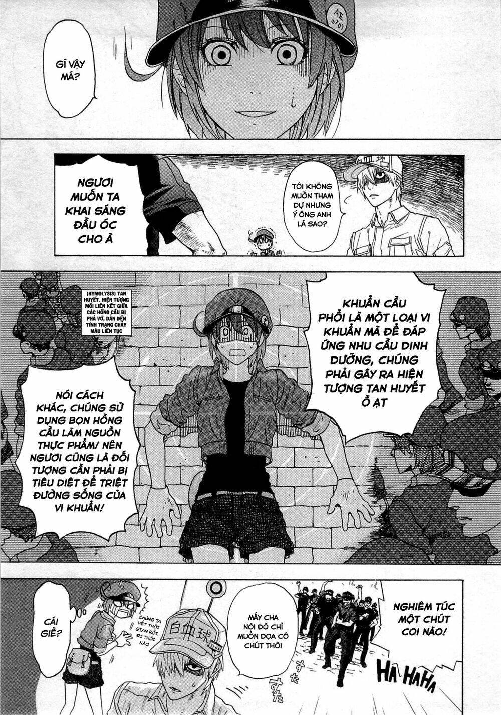 Hataraku Saibou ! Chapter 1: Khuẩn cầu phổi - Next Chapter 2: Dị ứng phấn hoa cây tuyết tùng