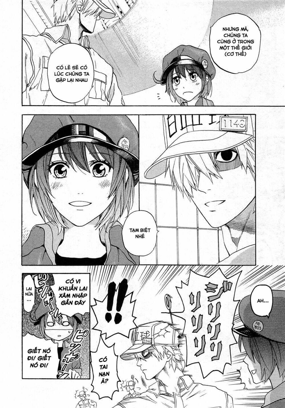 Hataraku Saibou ! Chapter 1: Khuẩn cầu phổi - Next Chapter 2: Dị ứng phấn hoa cây tuyết tùng