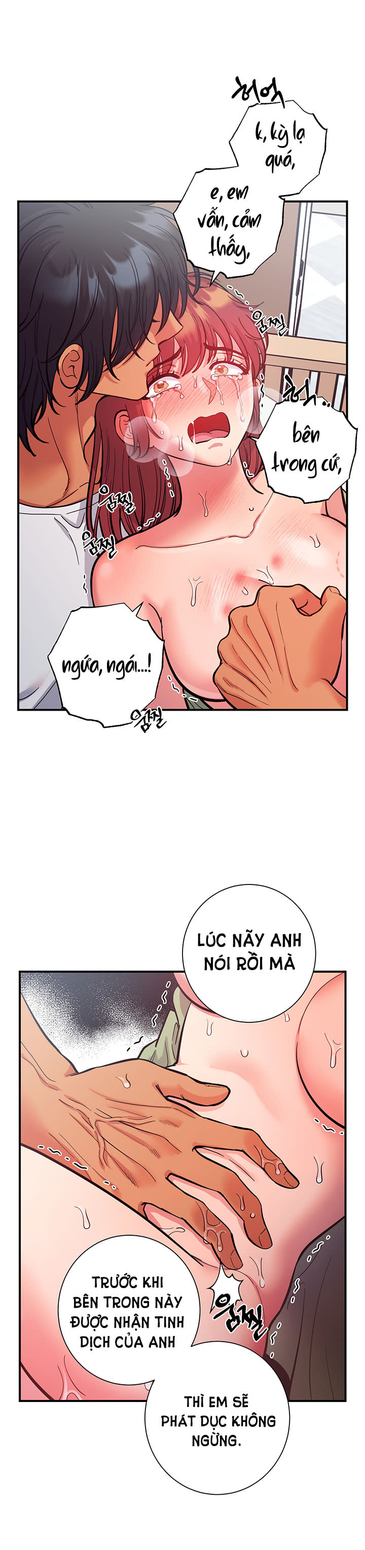 [18+] Một Lòng Một Dạ 2 Chap 63.2 - Trang 2