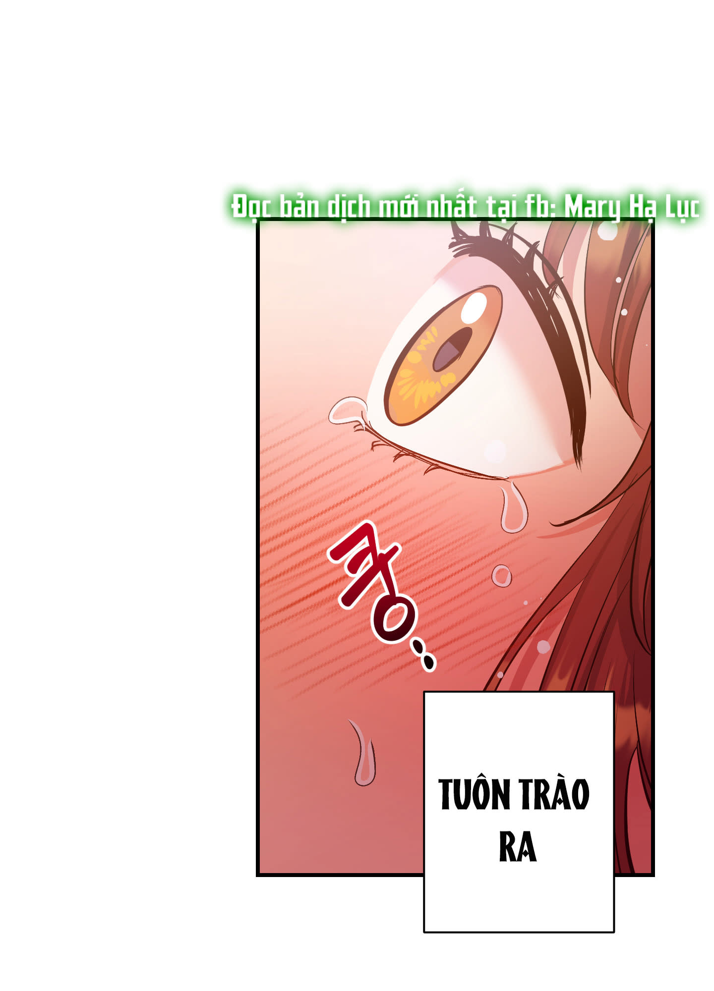 [18+] Một Lòng Một Dạ 2 Chap 27.1 - Trang 2