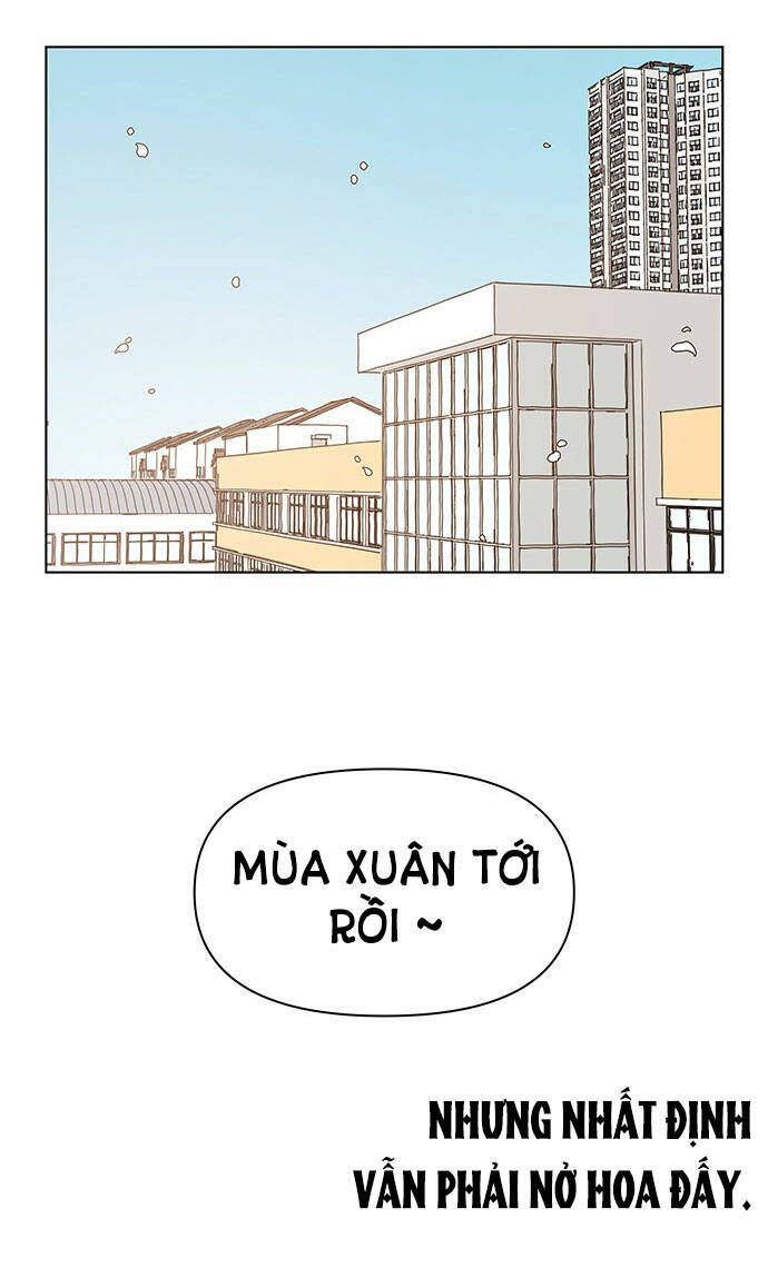 thanh xuân rực rỡ chapter 128 - Trang 2