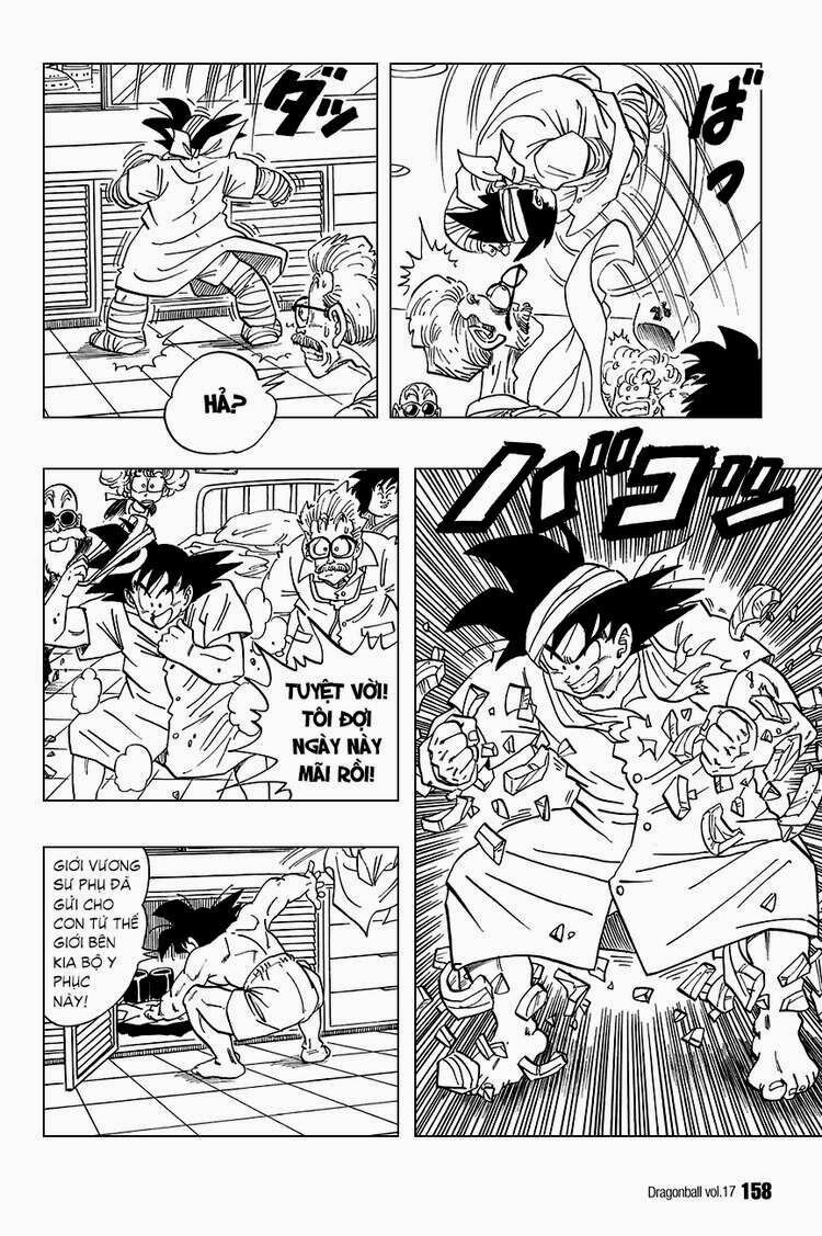 Dragon Ball - Bảy Viên Ngọc Rồng Chapter 250 - Next Chapter 251