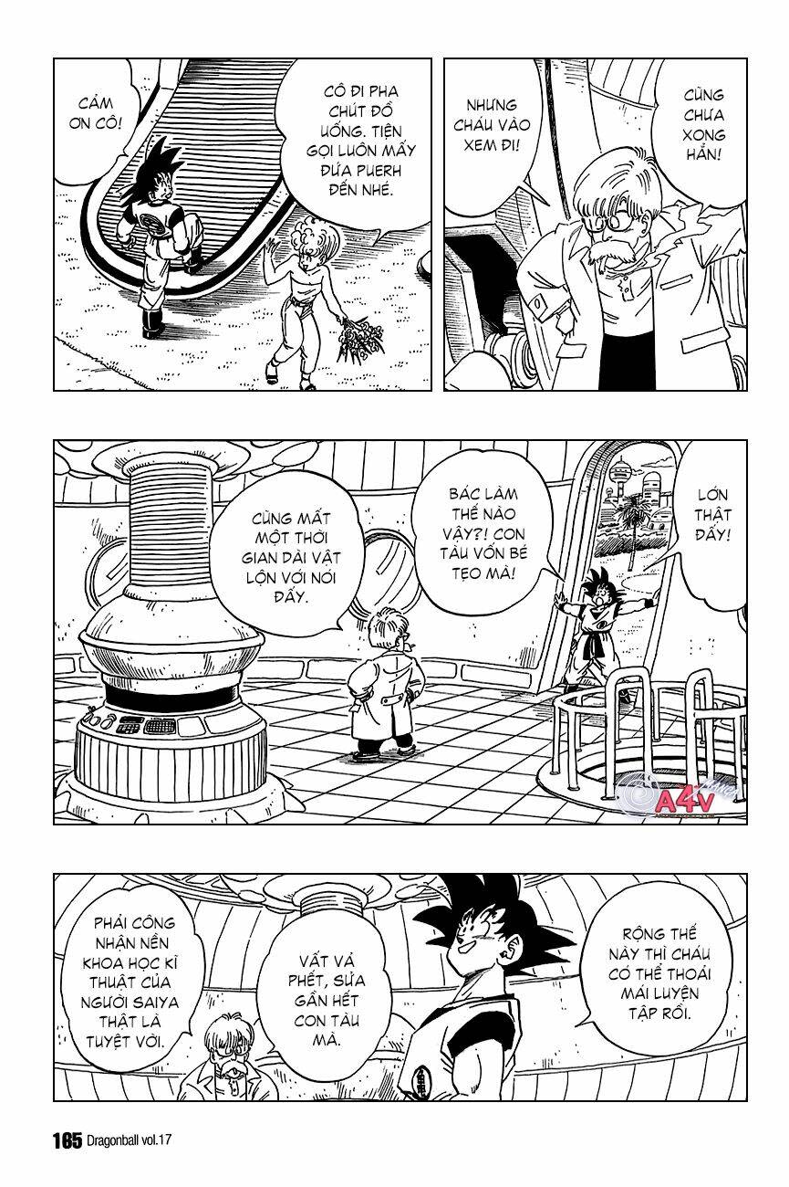 Dragon Ball - Bảy Viên Ngọc Rồng Chapter 251 - Next Chapter 252