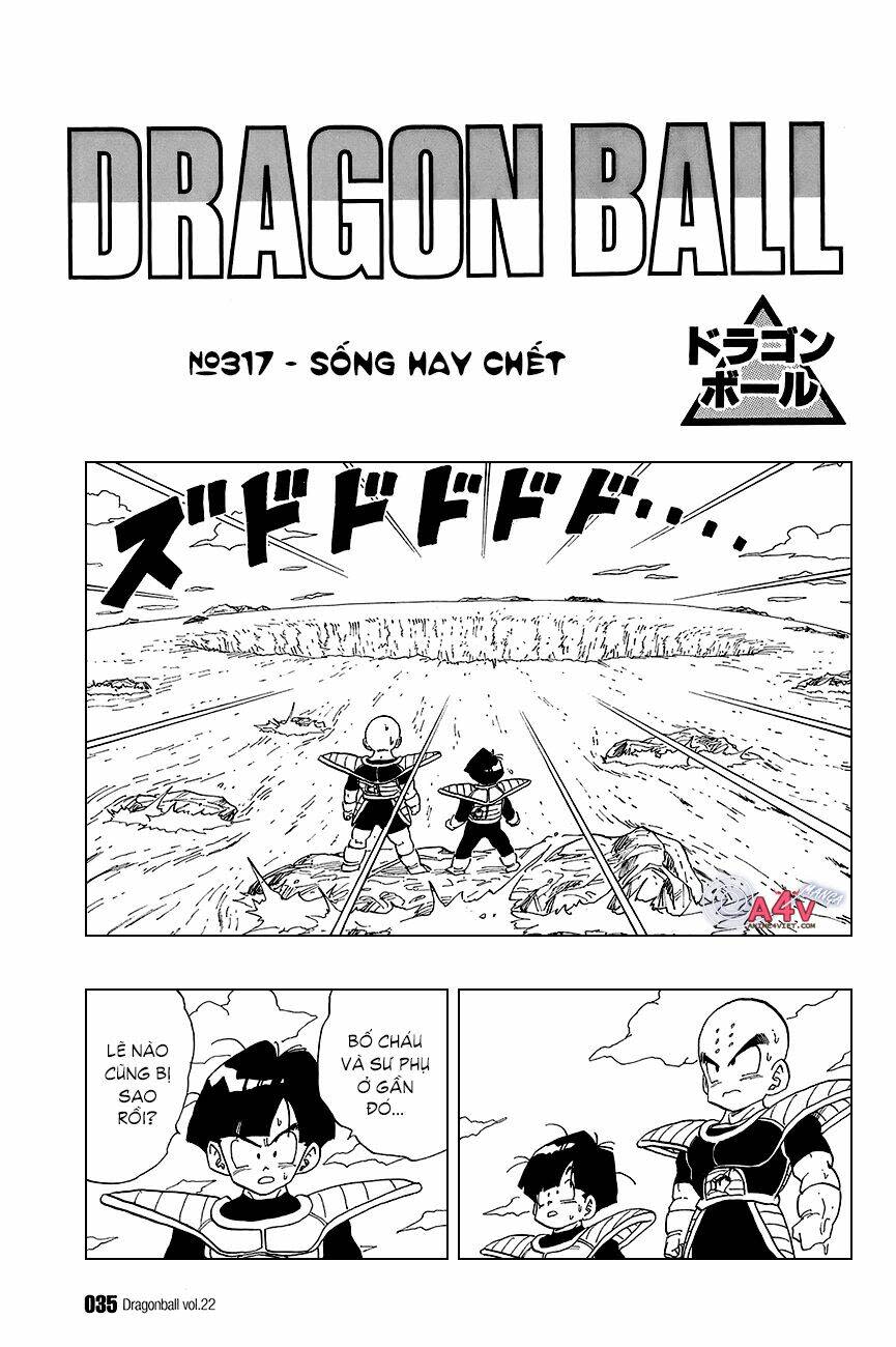 Dragon Ball - Bảy Viên Ngọc Rồng Chapter 317 - Next Chapter 318