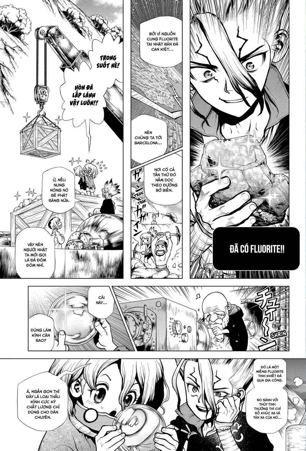 dr.stone - hồi sinh thế giới chapter 203 - Trang 2