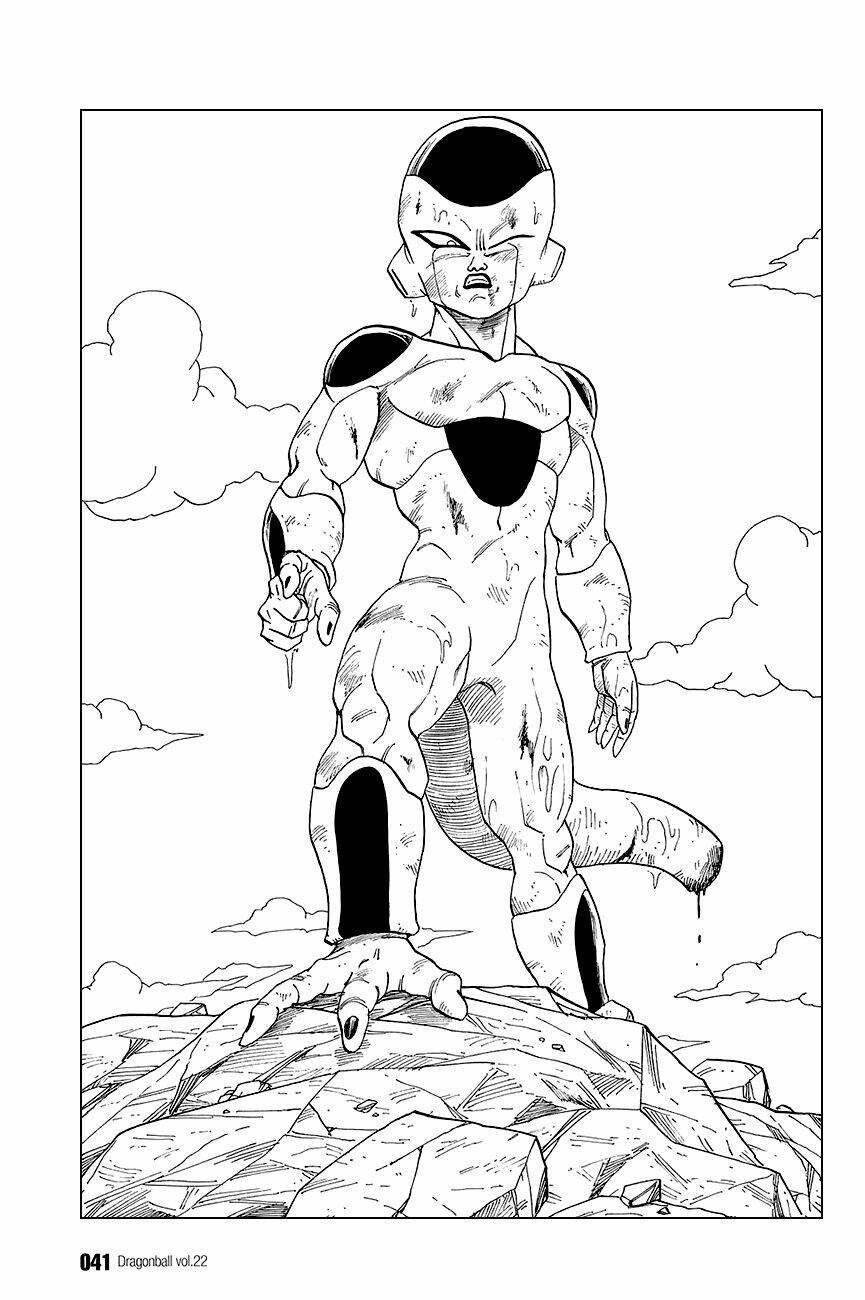 Dragon Ball - Bảy Viên Ngọc Rồng Chapter 317 - Next Chapter 318