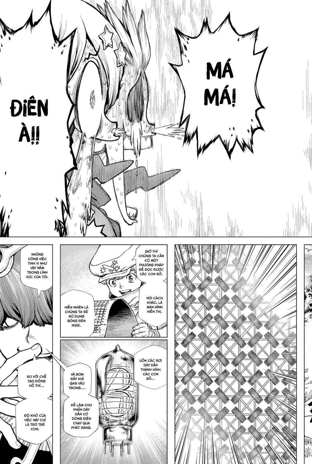 dr.stone - hồi sinh thế giới chapter 208 - Trang 2