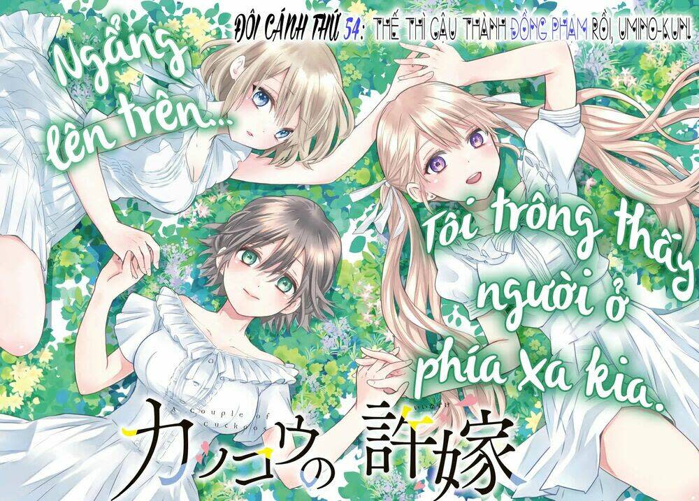 kakkou no iinazuke chapter 54: thế thì cậu thành đồng phạm rồi, umino-kun! - Next Chapter 54