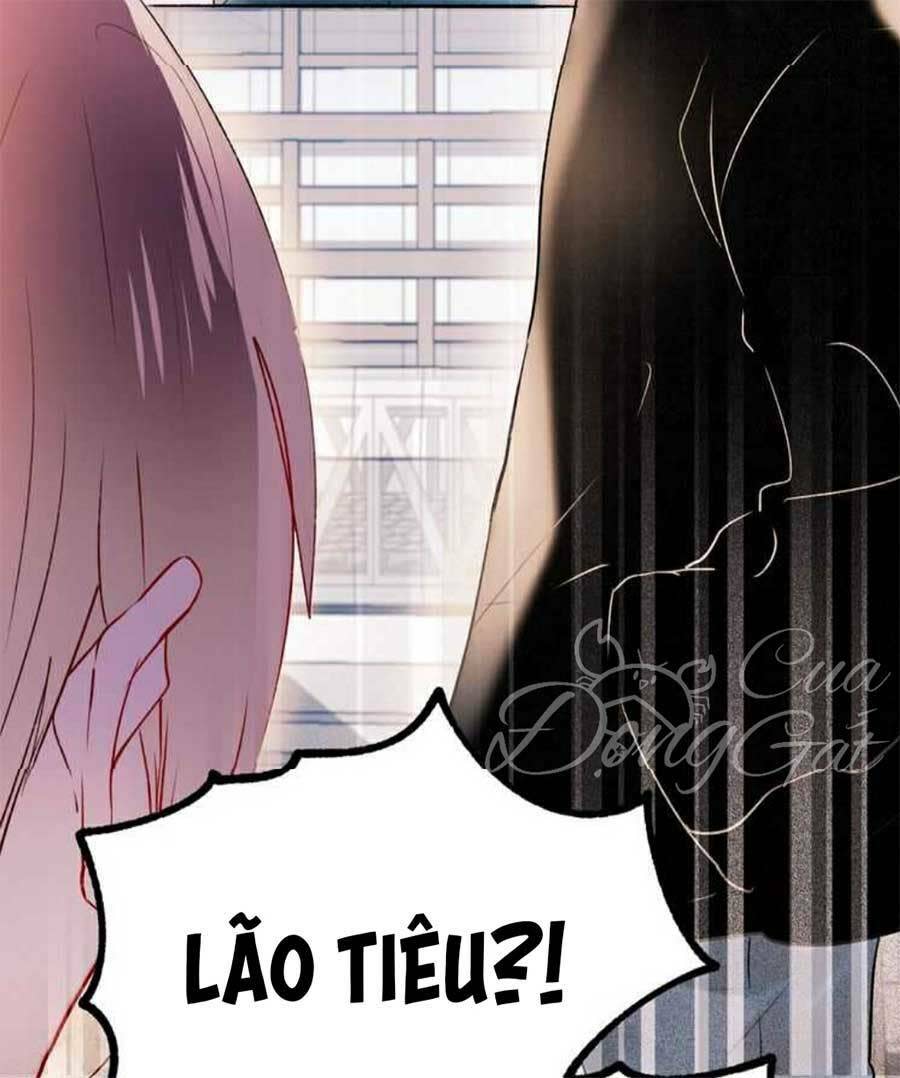 thành dã tiêu hà chapter 26 - Next chapter 27