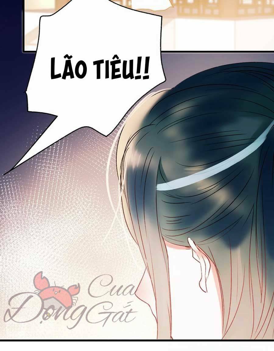 thành dã tiêu hà chapter 31 - Next chapter 32