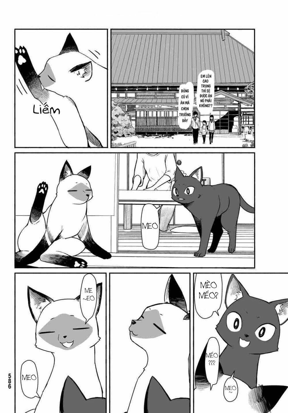 flying witch chapter 33 - Next chapter 34