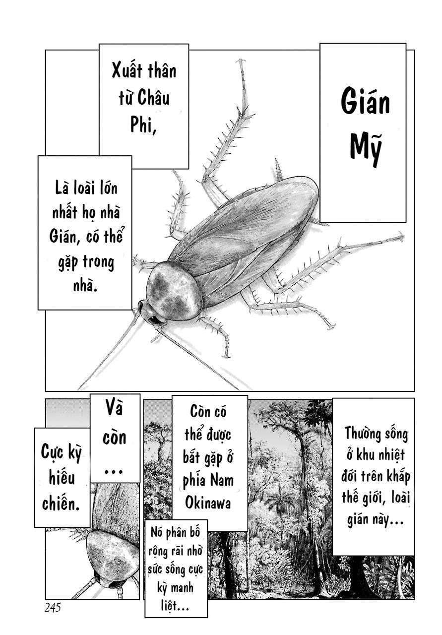 blattodea chapter 2: sự suy thoái đồng nghĩa với tự do - Trang 2