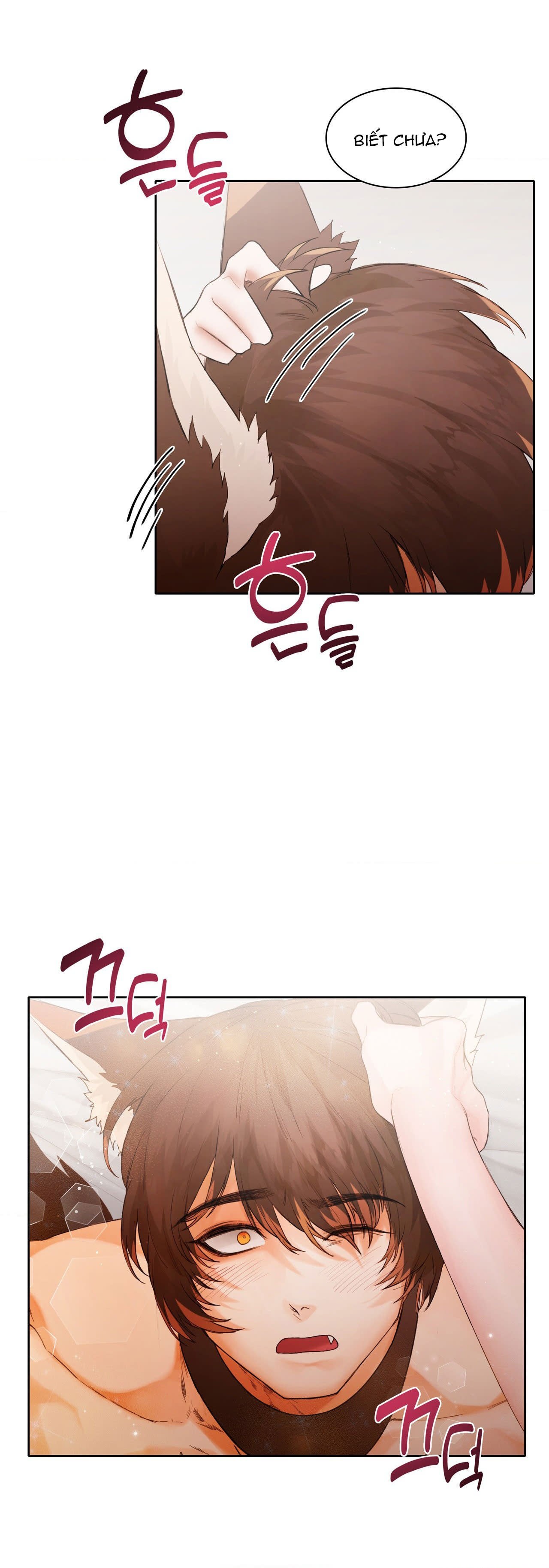 [18+] cún con của chủ nhân Chap 4 - Next 4.1