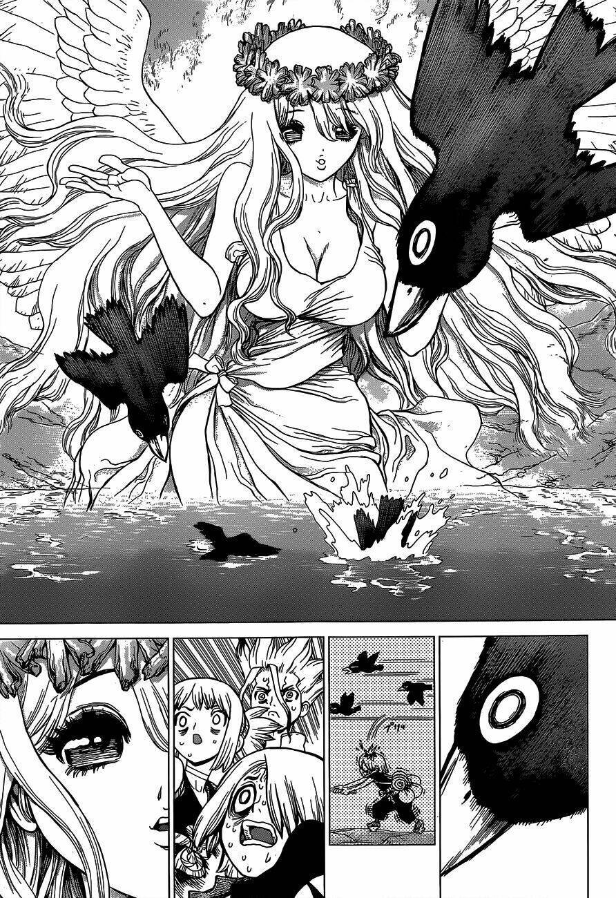 dr.stone - hồi sinh thế giới chapter 30 - Trang 2