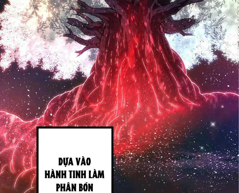 chuyển sinh thành liễu đột biến Chapter 256 - Next Chapter 256