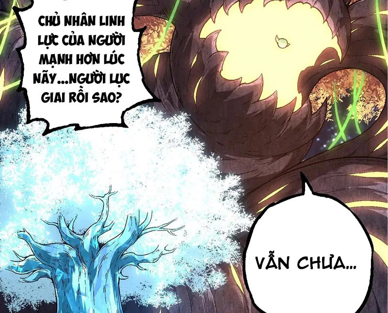 chuyển sinh thành liễu đột biến Chapter 256 - Next Chapter 256