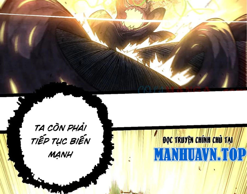 chuyển sinh thành liễu đột biến Chapter 256 - Next Chapter 256