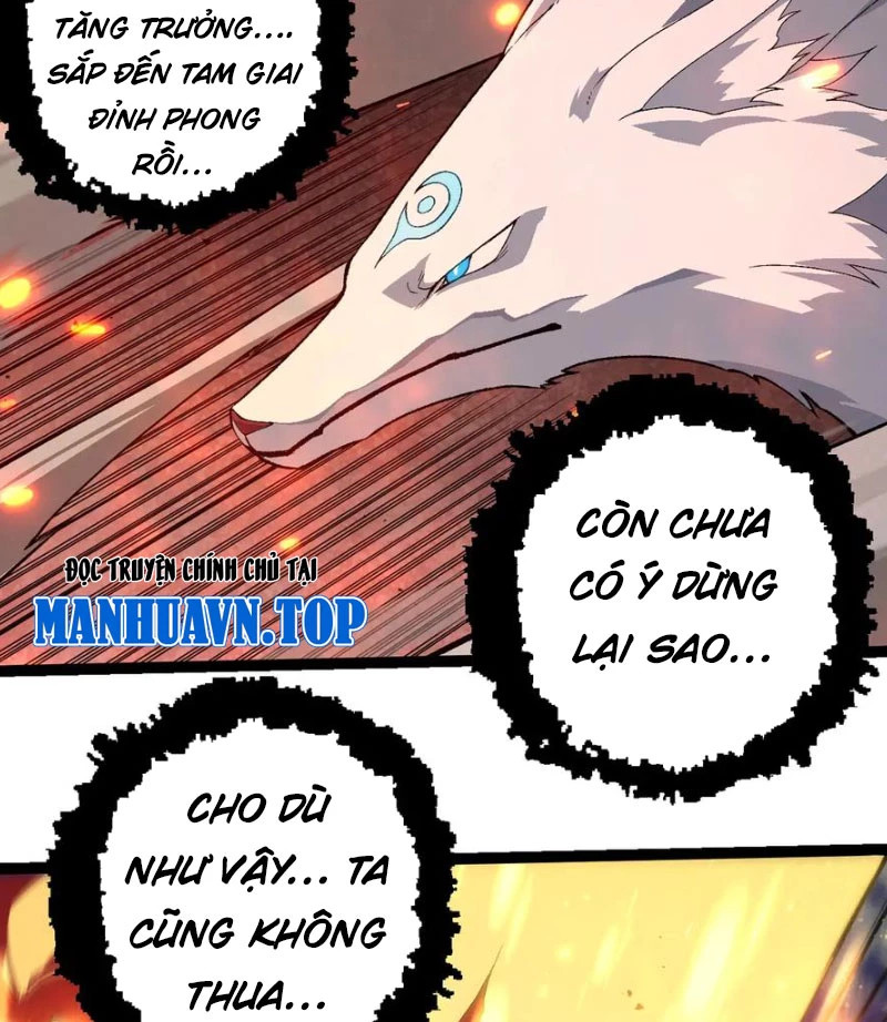 chuyển sinh thành liễu đột biến Chapter 267 - Next Chapter 267