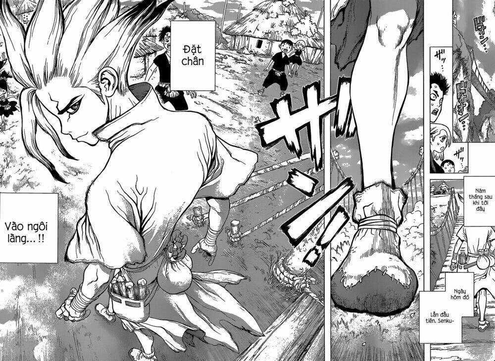 dr.stone - hồi sinh thế giới chapter 33 - Trang 2