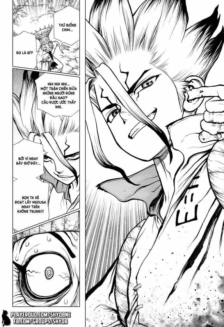 dr.stone - hồi sinh thế giới chapter 136 - Trang 2