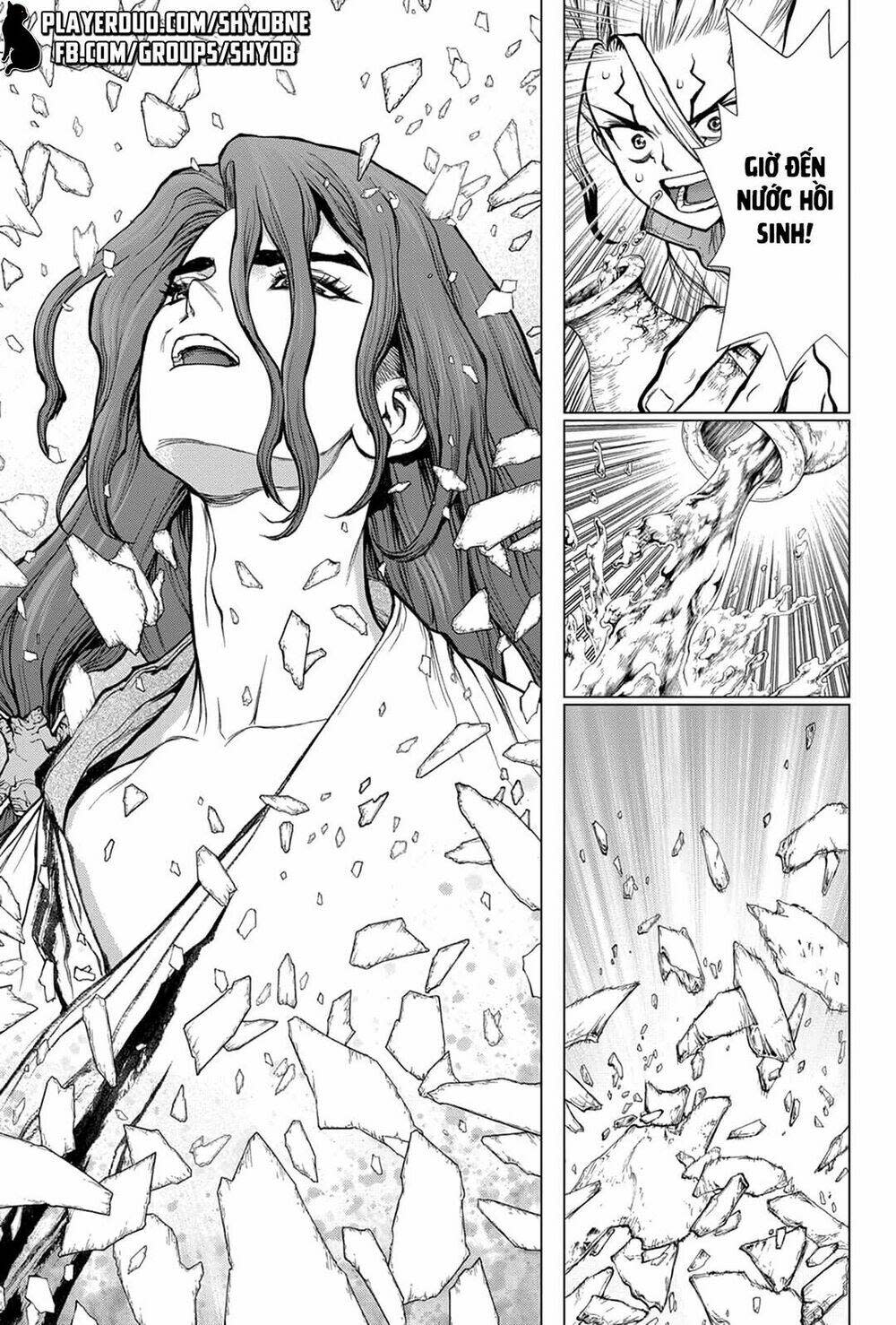 dr.stone - hồi sinh thế giới chapter 141 - Trang 2