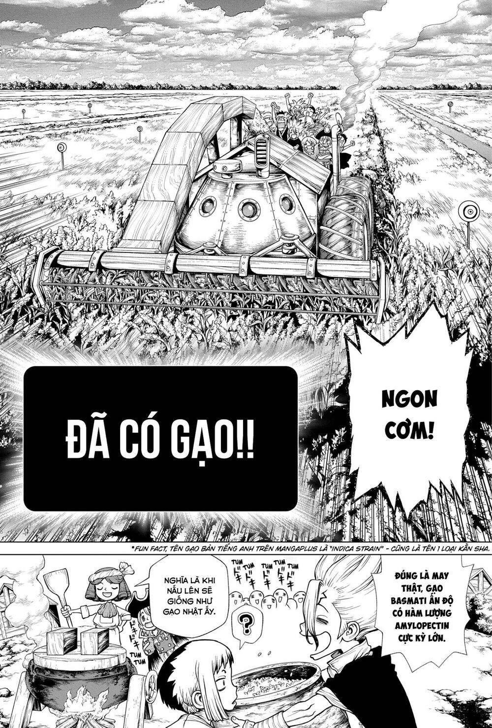 dr.stone - hồi sinh thế giới chapter 211 - Trang 2