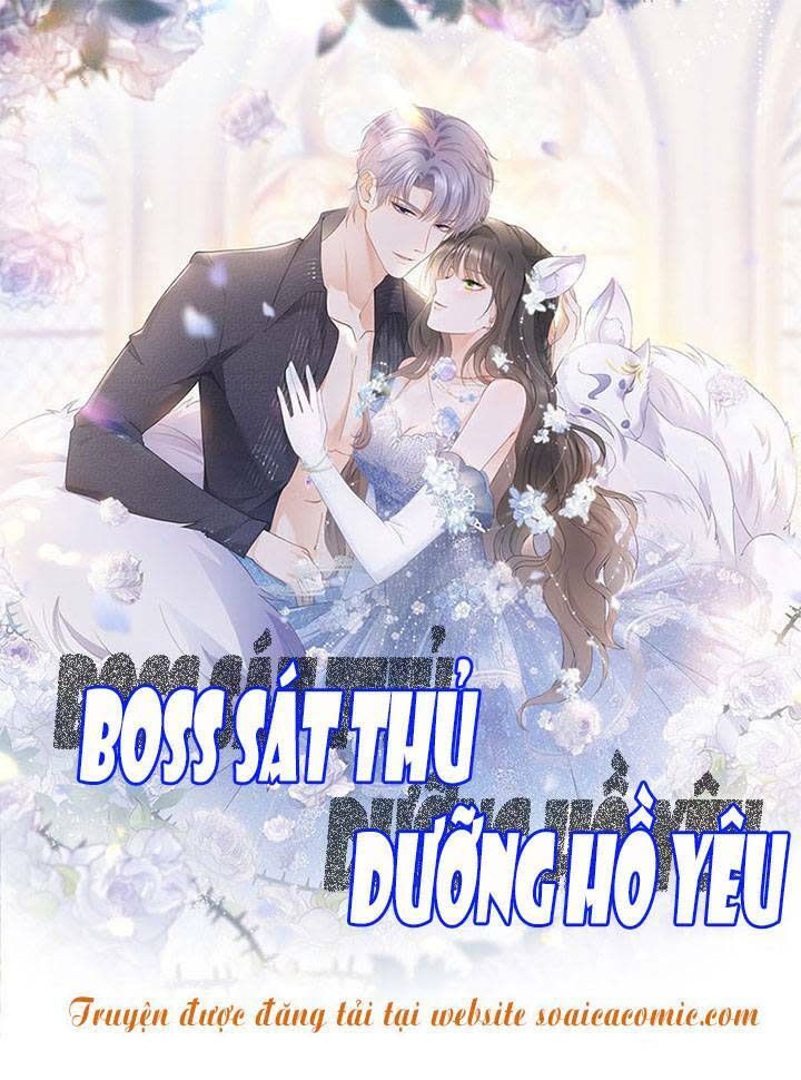 boss sát thủ dưỡng hồ yêu chapter 1 - Trang 2