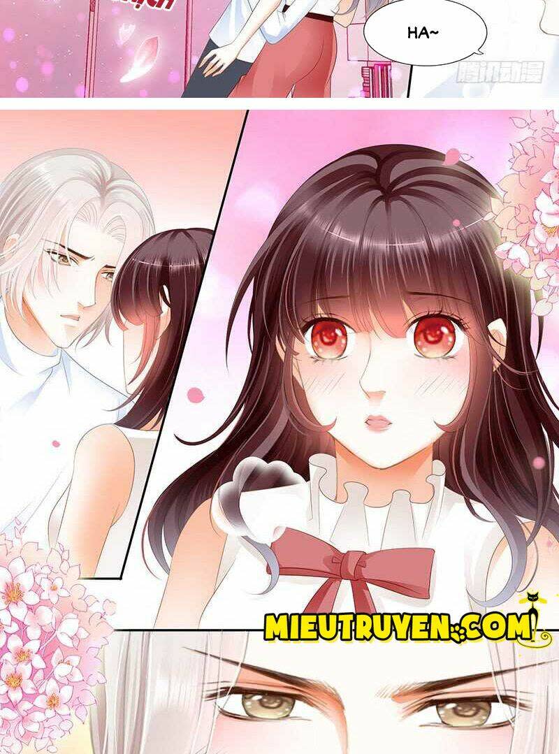 thiểm hôn kiều thê chapter 49 - Trang 2