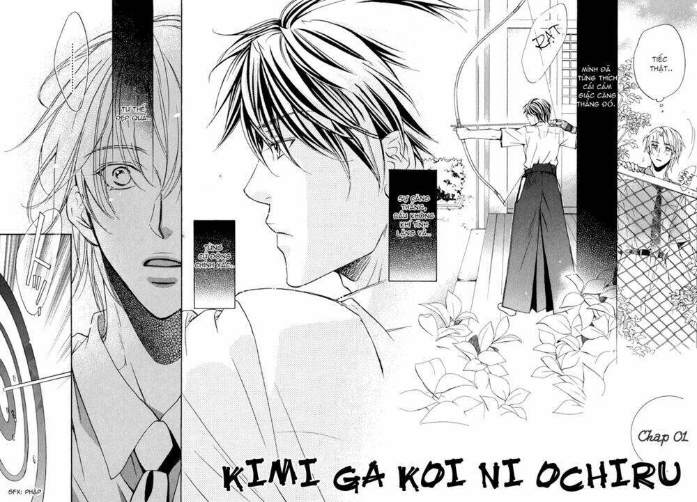 Kimi ga Koi ni Ochiru Chapter 1 - Trang 2