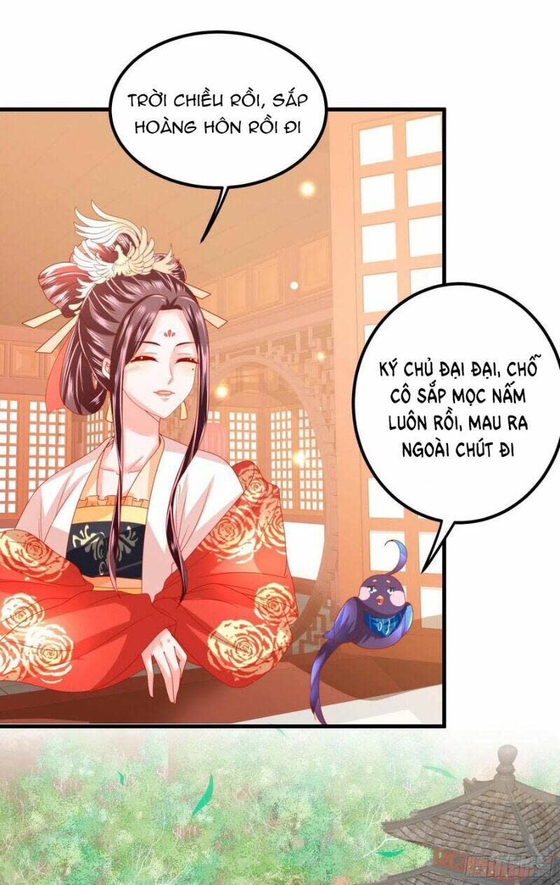 ta phải làm hoàng hậu chapter 29 - Trang 2