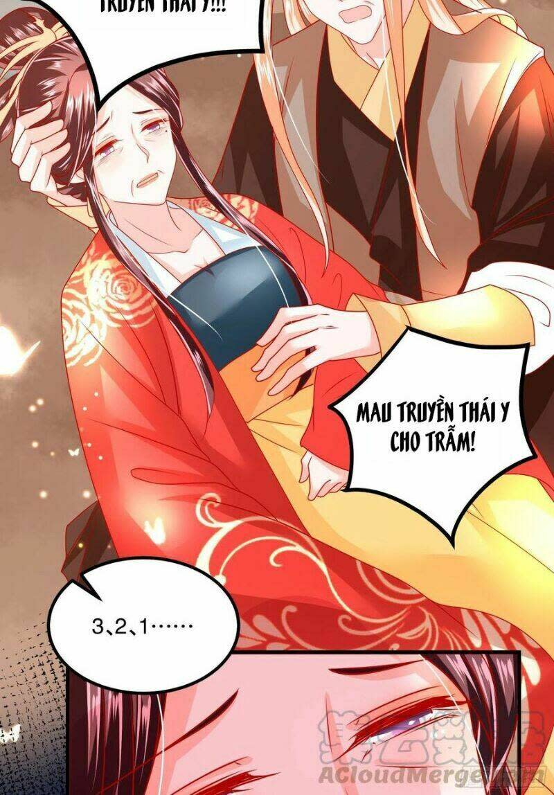 ta phải làm hoàng hậu chapter 35 - Next chương 36