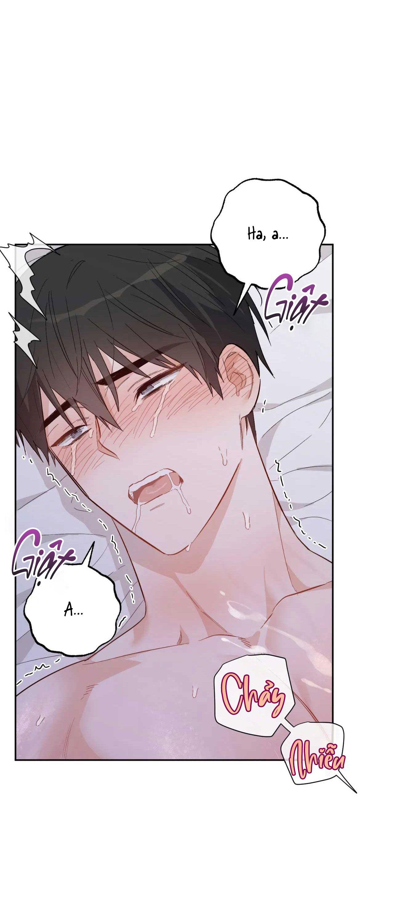 VẬN MỆNH CỦA CẬU LÀ GÌ? Chapter 3 - Trang 2