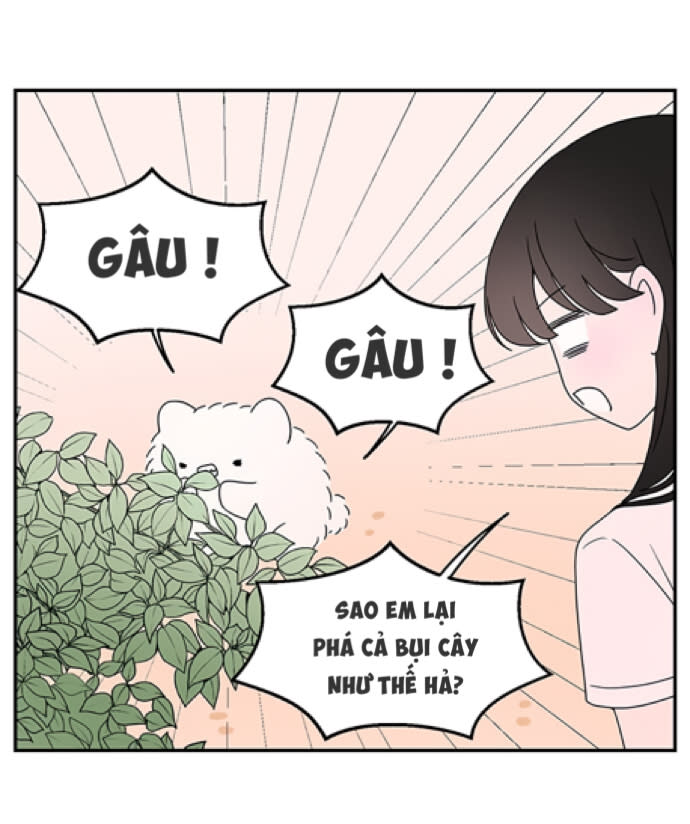 Hội Chứng Nam Phụ Chapter 21 - Trang 2