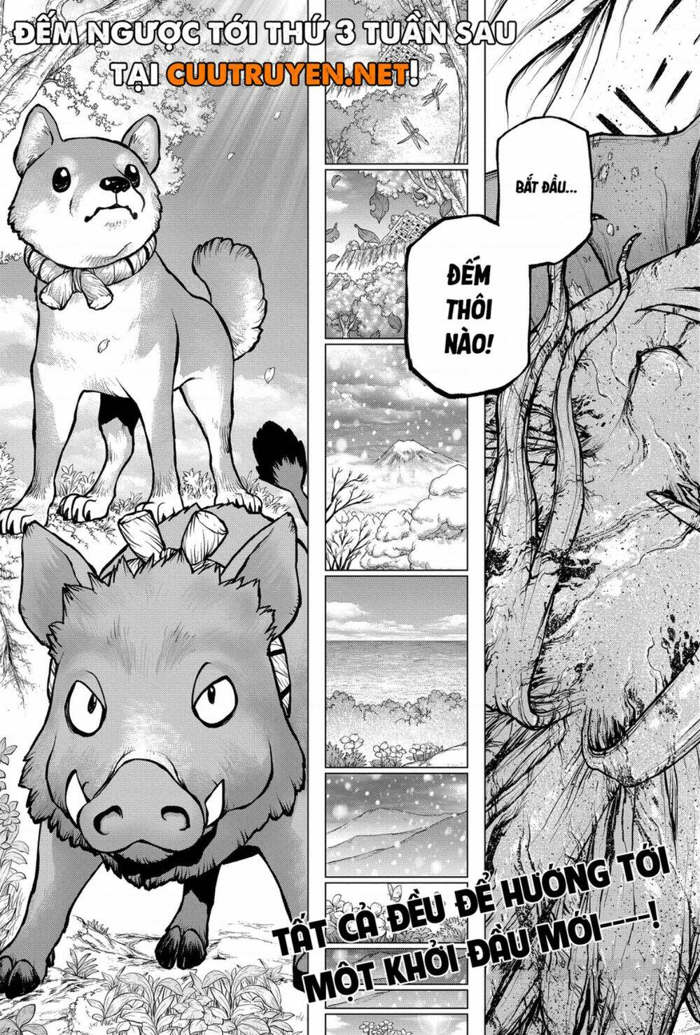 dr.stone - hồi sinh thế giới chapter 193 - Trang 2