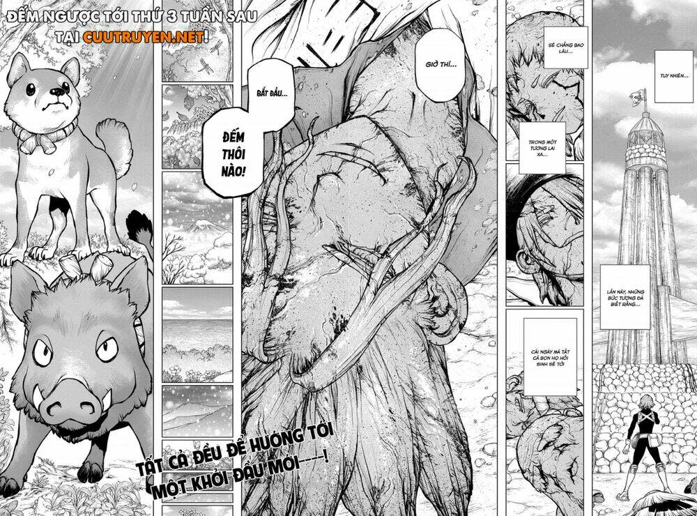 dr.stone - hồi sinh thế giới chapter 193 - Trang 2