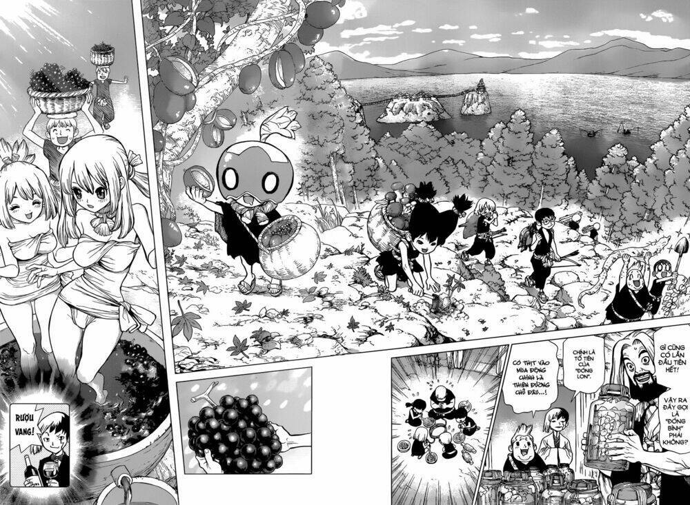 dr.stone - hồi sinh thế giới chapter 53: câu lạc bộ thủ công hardcore! - Trang 2