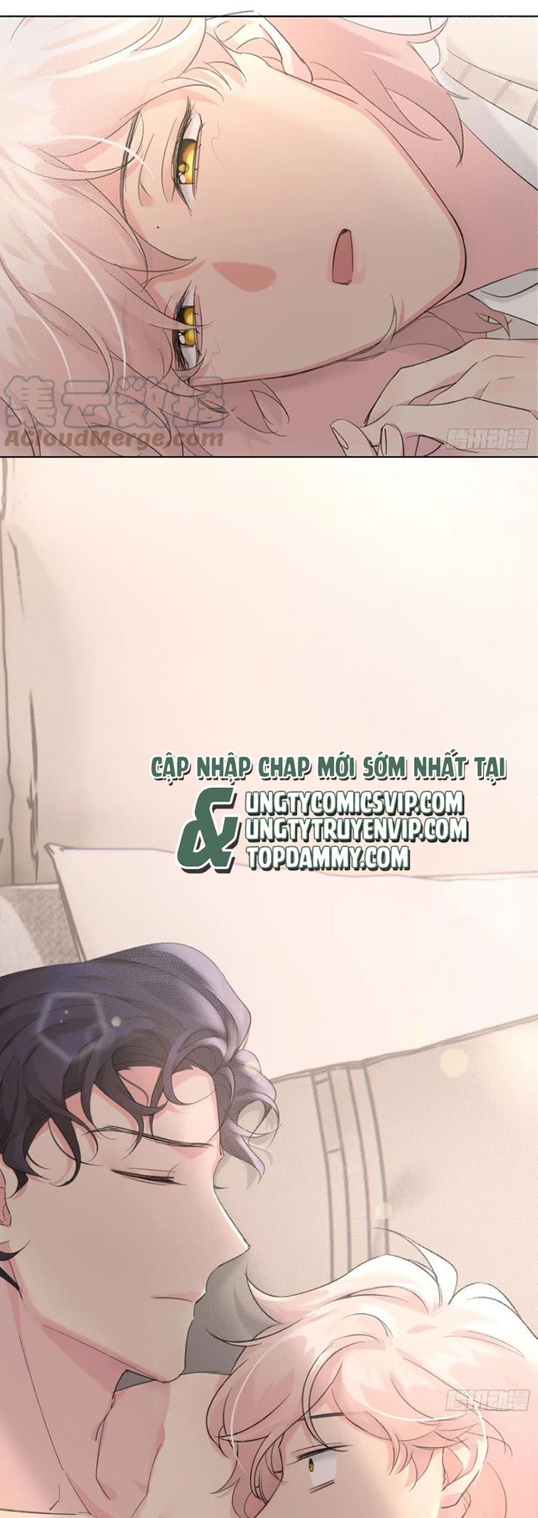 Sau Khi Xuyên Thành Pháo Hôi Tôi Chỉ Muốn Ly Hôn Chap 11 - Next Chap 12