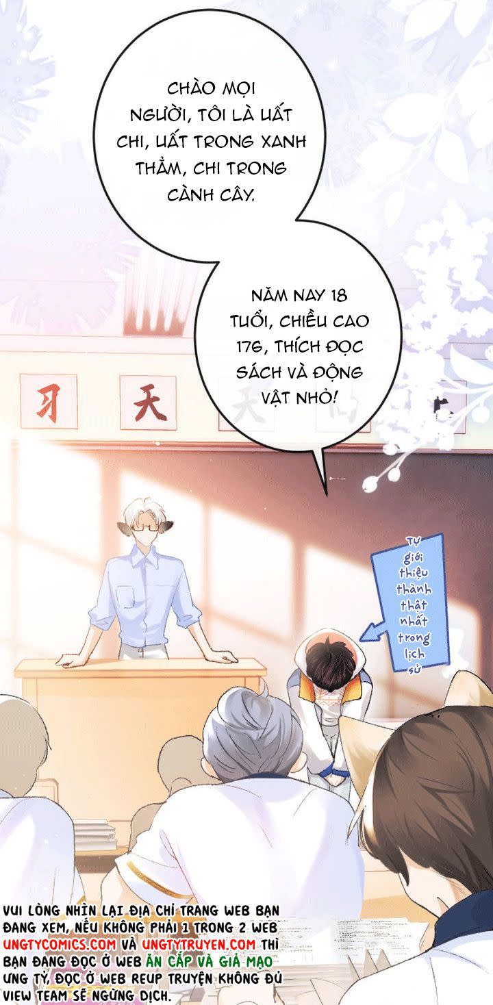 Giáo Bá Cửu Vĩ Hồ Theo Dõi Ta Lúc Sau Chap 2 - Next Chap 3