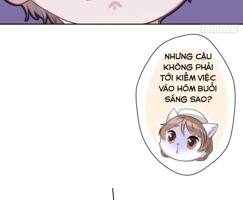 Mèo Con Đừng Liếm Tôi Chap 6 - Next Chap 7