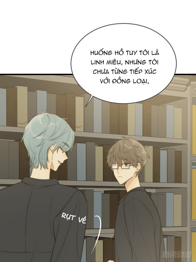 Chỉ Có Đuôi Là Không Thể Chap 40 - Next Chap 41