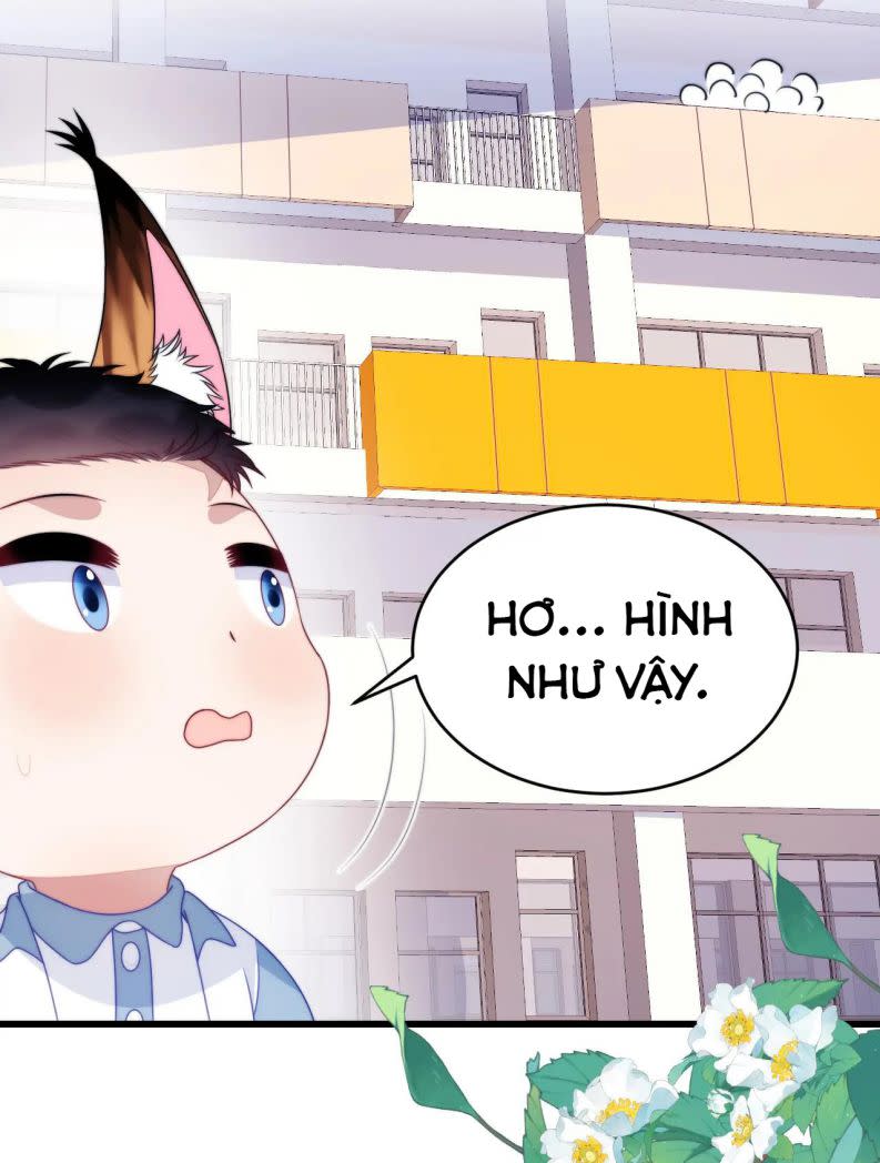 Tiểu Dã Miêu Của Học Bá Thật Trêu Người Chap 71 - Next Chap 72