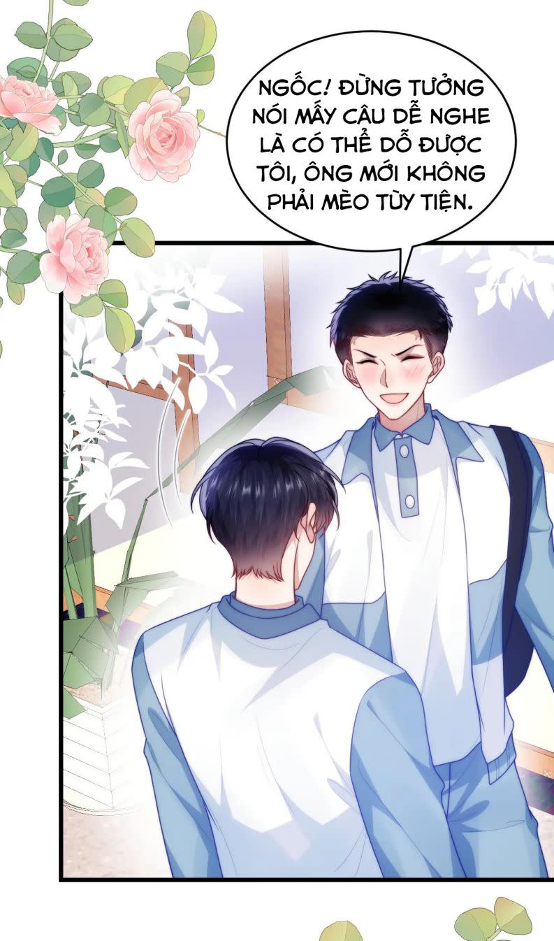 Tiểu Dã Miêu Của Học Bá Thật Trêu Người Chap 71 - Next Chap 72