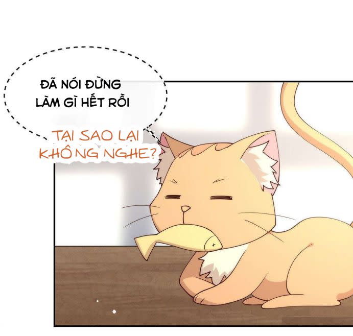 Tôi Cùng Nữ Chủ Mary Sue Tranh Giành Bạn Trai Chap 117 - Next Chap 118