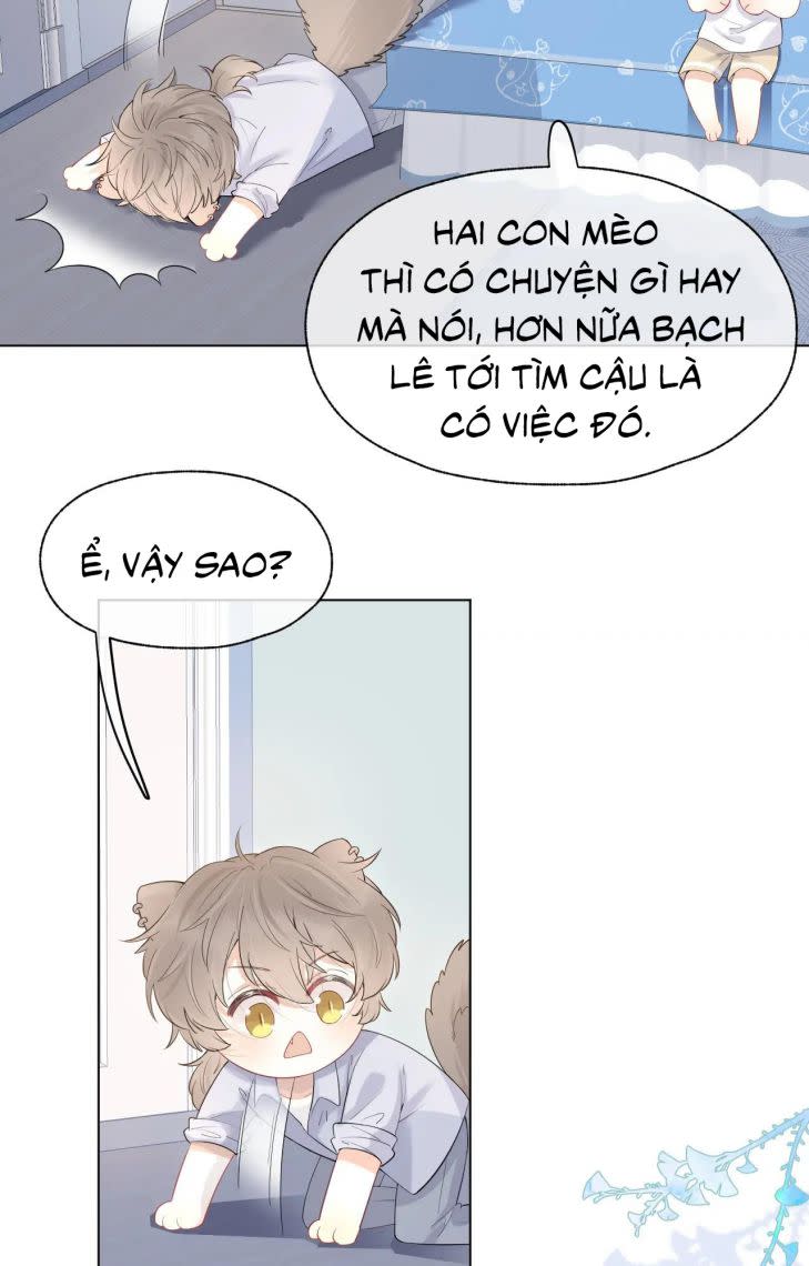 Một Ngụm Ăn Thỏ Chap 13 - Next Chap 14