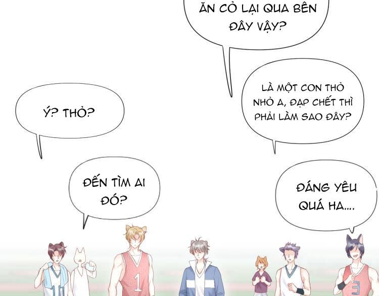 Một Ngụm Ăn Thỏ Chap 2 - Next Chap 3