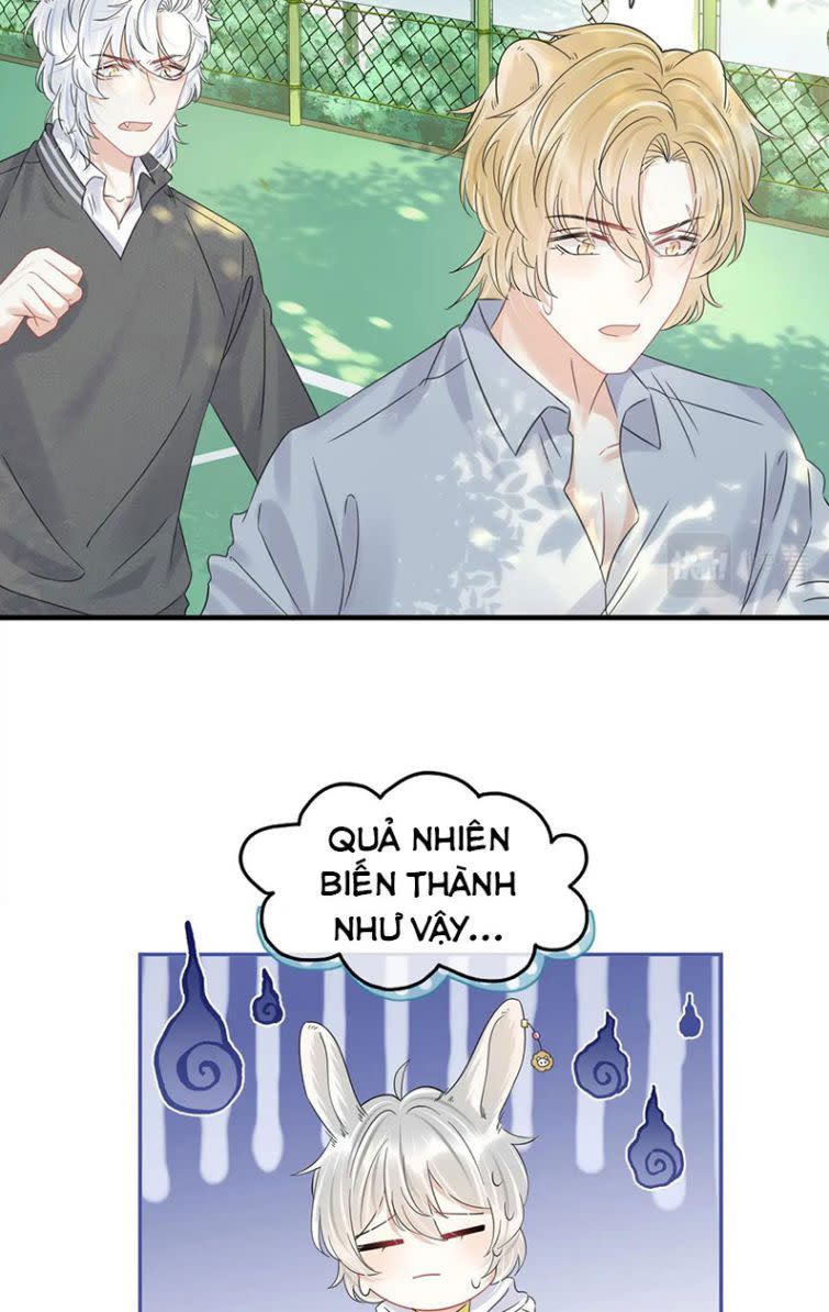 Một Ngụm Ăn Thỏ Chap 37 - Next Chap 38